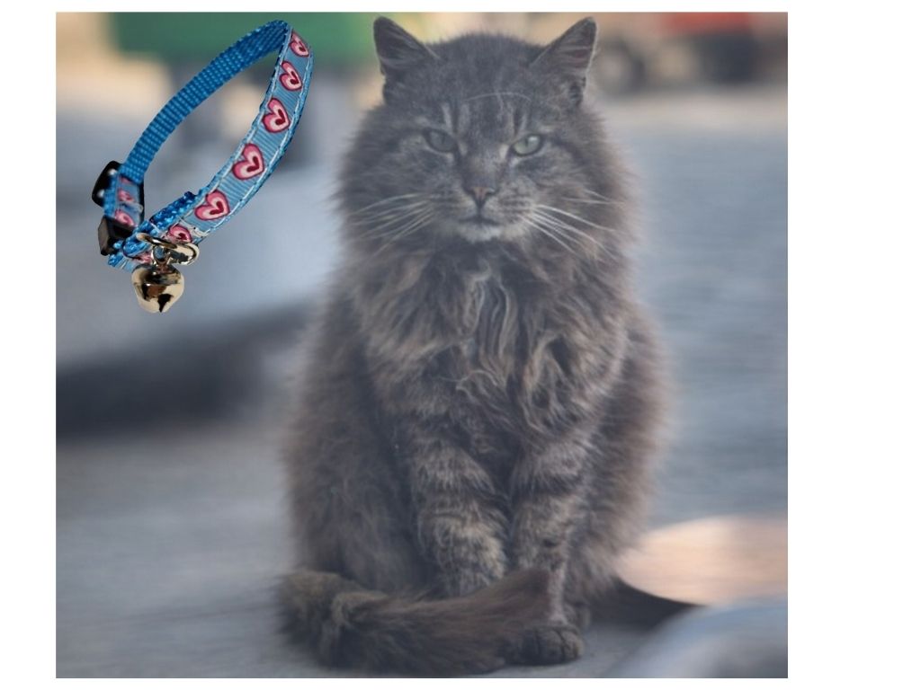 Návrh bez názvu - 2026-03-07T201801.772